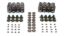 Valve Spring Kit GM LS w/Ti Retainers