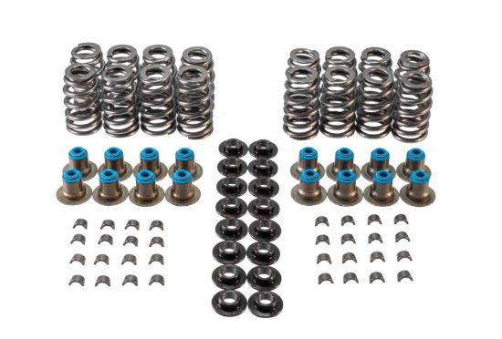 Valve Spring Kit GM LS