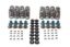 Valve Spring Kit GM LS