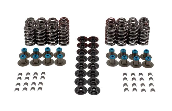 Valve Spring Kit GM LS