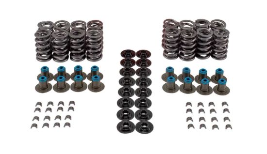Valve Spring Kit GM LS
