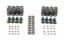 Valve Spring Kit GM LS w/Ti Retainers