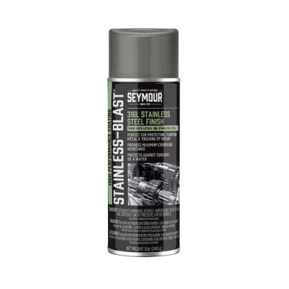Stainless Blast Paint Spray Can 13oz