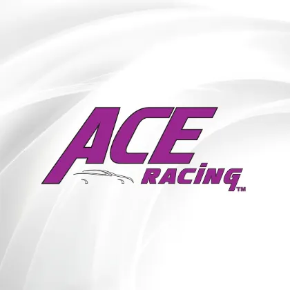 Picture for manufacturer ACE RACING CLUTCHES