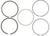 100.00 MM RING SET (ONE CYLINDER)