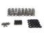 LT1/L86 Conical Spring Kit .650in Lift