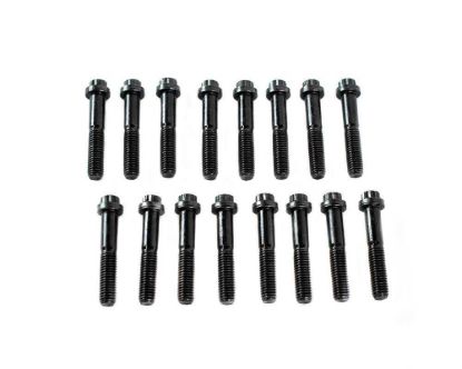 Rocker Arm Trunnion 12-Point Bolt Kit