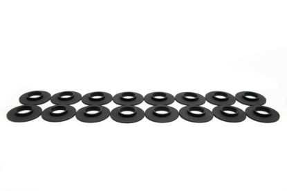 Spring Locator Set 565in ID - .060in Thick