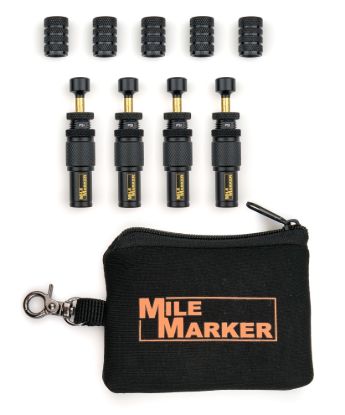 Tire Deflater Kit