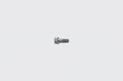 Bolt 1/4-20 X .75IN 12PT Stainless