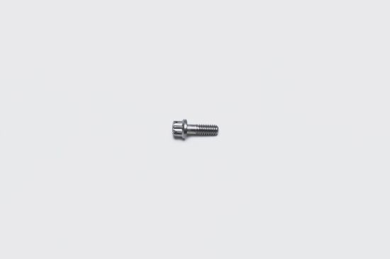 Bolt 1/4-20 X .75IN 12PT Stainless
